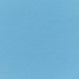 Sunbrella Canvas Sky blue Patio Umbrella Fabric